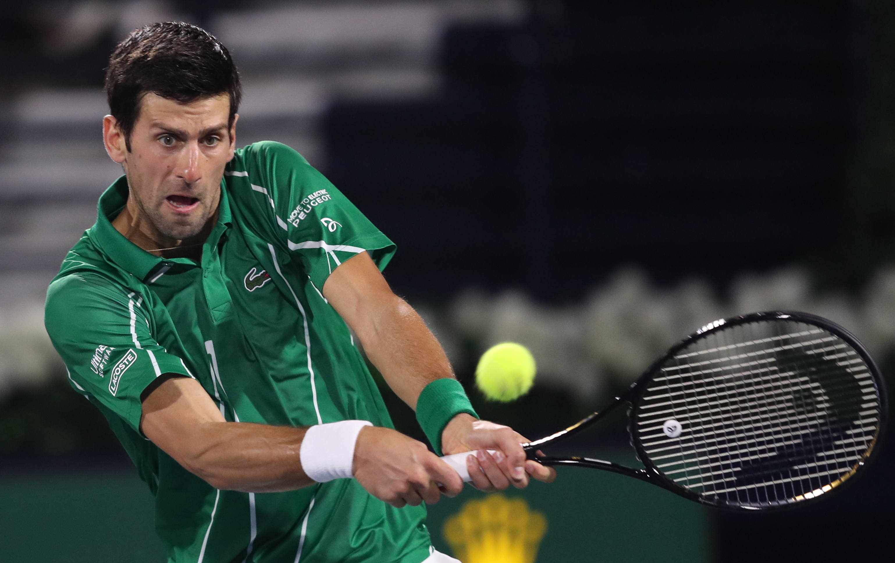 的世界里 的世界里